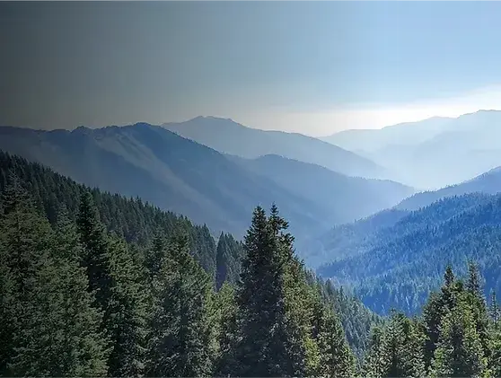 imgi_6_landscape031.webp